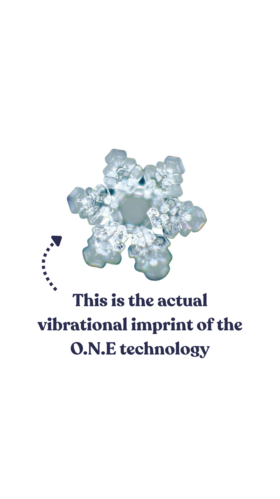 emoto.png
